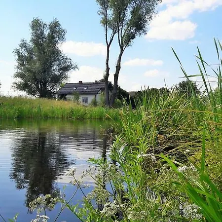 Konik Bujany * Załuski