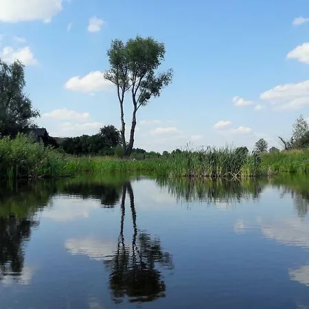 Farma Konik Bujany Załuski