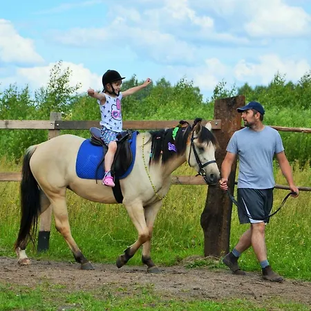 Konik Bujany *