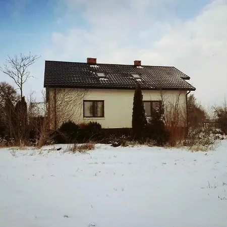 Konik Bujany Załuski